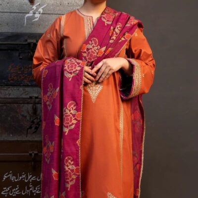 LIBAS MOST DEMANDING ARTICLE