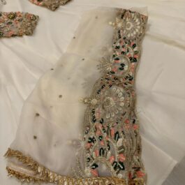 hand made cutdana multi embroidered  work on seleeves