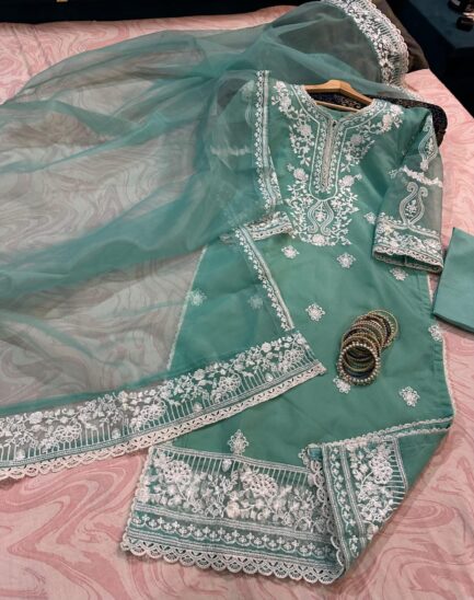 Long length  Front+Back Heavy Embd+lace work - Image 6