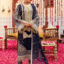 Chiffon fabric shirt heavy embroidered with dupata