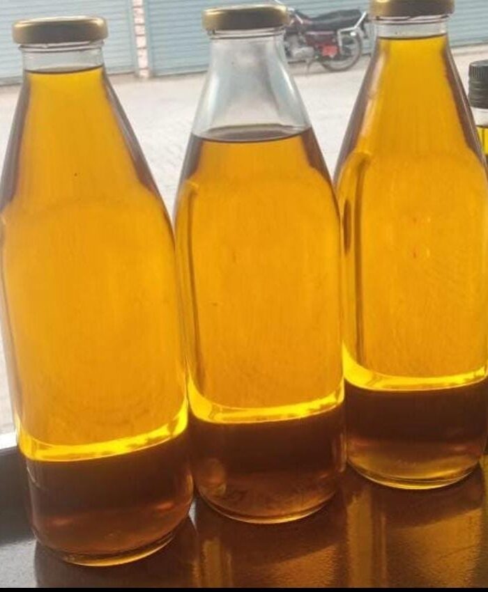 جنگلی زیتون ائل