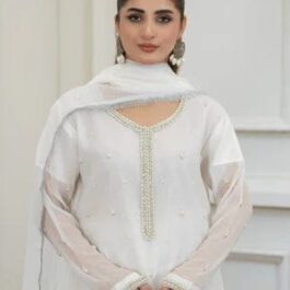 Bamber chiffon pearl work log shirt with 4 side Kiran lace full size dubta