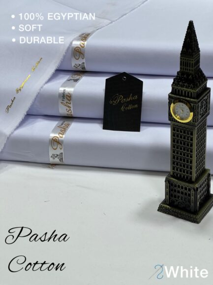 Pasha - Image 18