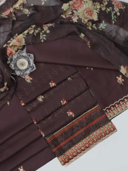 Summer collection - Image 6