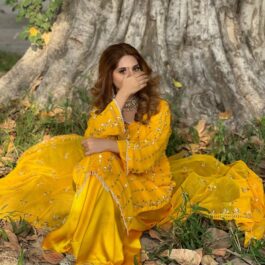 Chiffon Fabric (Shirt dupta)