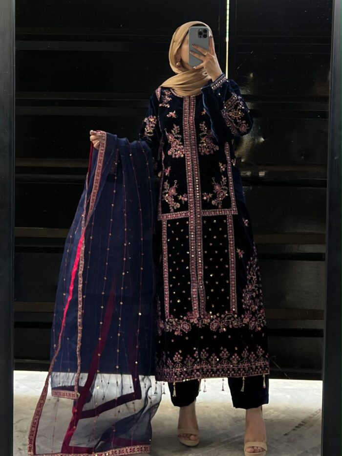 9000 micro Valvet - Sequine Embd Organza Dupta